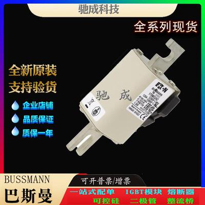 巴斯曼170M3241 170M3242 170M3243 长期销售价优 高速熔断器