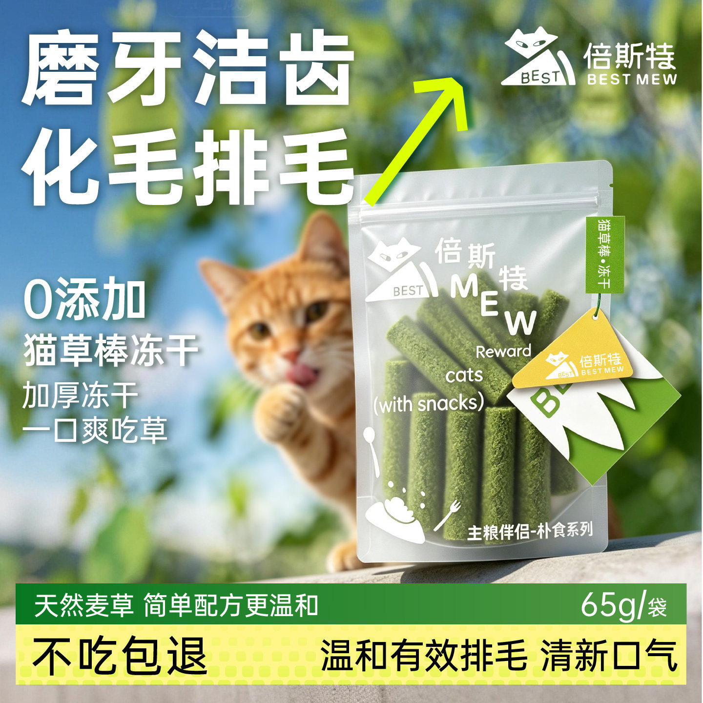 猫草冻干猫草棒化毛排毛清洁口腔