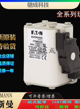 巴斯曼170M4440 170M4441 170M4442 现货供应量大价优 紧凑熔断器