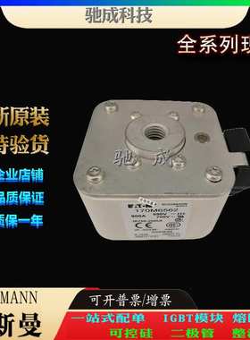 巴斯曼170M6586 170M6587 170M6588 销售供应零售  快速保险丝