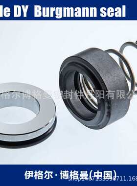 机械密封EagleDYburgmann用于事故浆液搅拌CFJ3-11/230