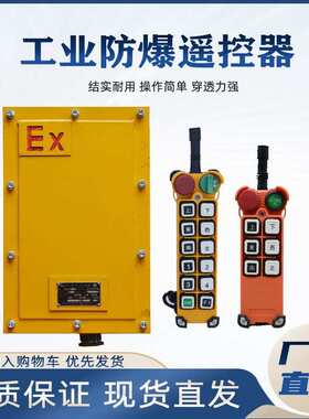 起重机防爆遥控器无线防爆遥控器BYS-100S/BF21/BF24-12D新黎明
