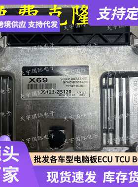 ECU MEG17.9.12系列 适用现代发动机电脑板 X69 39128-2B120