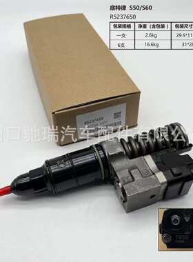 R5237650底特律S60共轨喷油器R5235575喷油嘴R5235915底特律油嘴