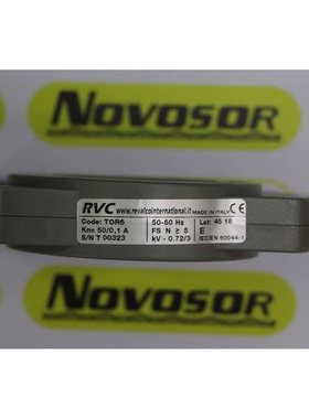 REVALCO TOR6 RDT300继电器