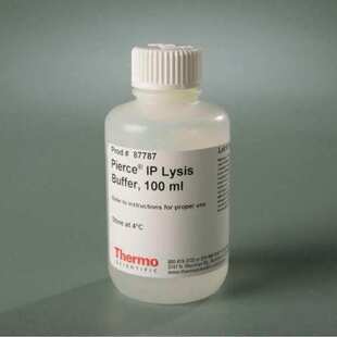 thermo 87787赛默飞Pierce IP裂解缓冲液（免疫沉淀） 蛋白抽提液