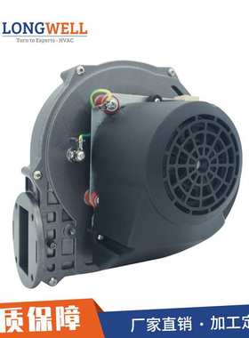 朗伟 115V 直叶式鼓风机 230V吸纸布条风机大风量气体输送排风机