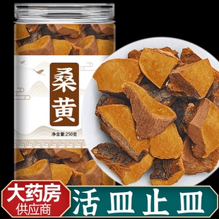 桑黄野生西藏中药材粉的功效与作用小努桑树灵芝林芝波密泡茶正品