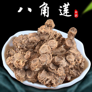 2026年新鲜八角连中药材野生晒干早八角金魁连独角连非特级一碗水
