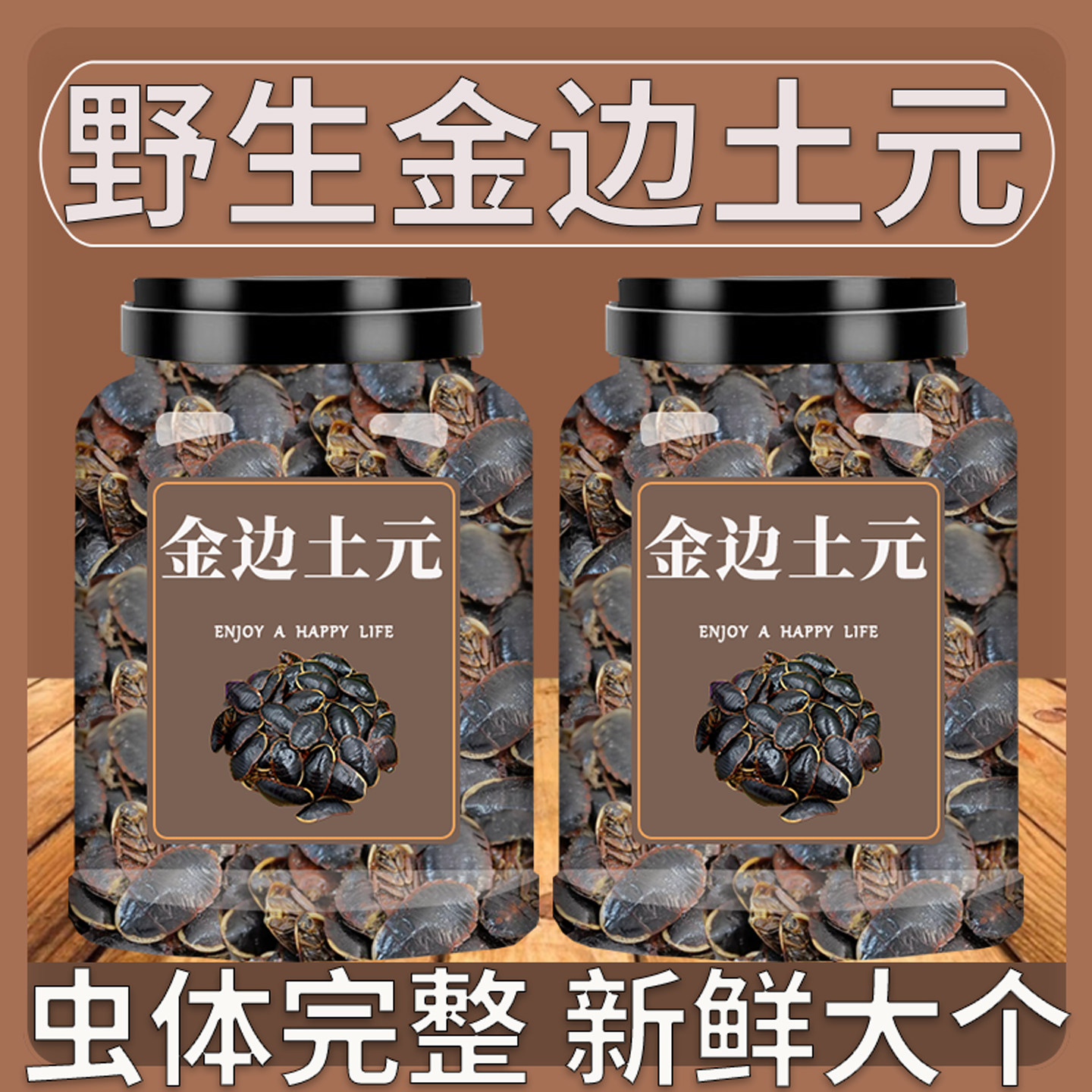 正品金边土元土鳖虫中药材中华土鳖子水洗无土地鳖虫地乌龟可磨粉