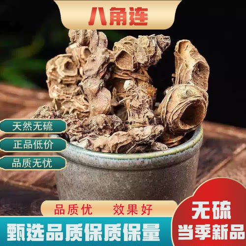 八角莲中药材正品干货无硫整株八角连好品质八角金盘地道药材包邮
