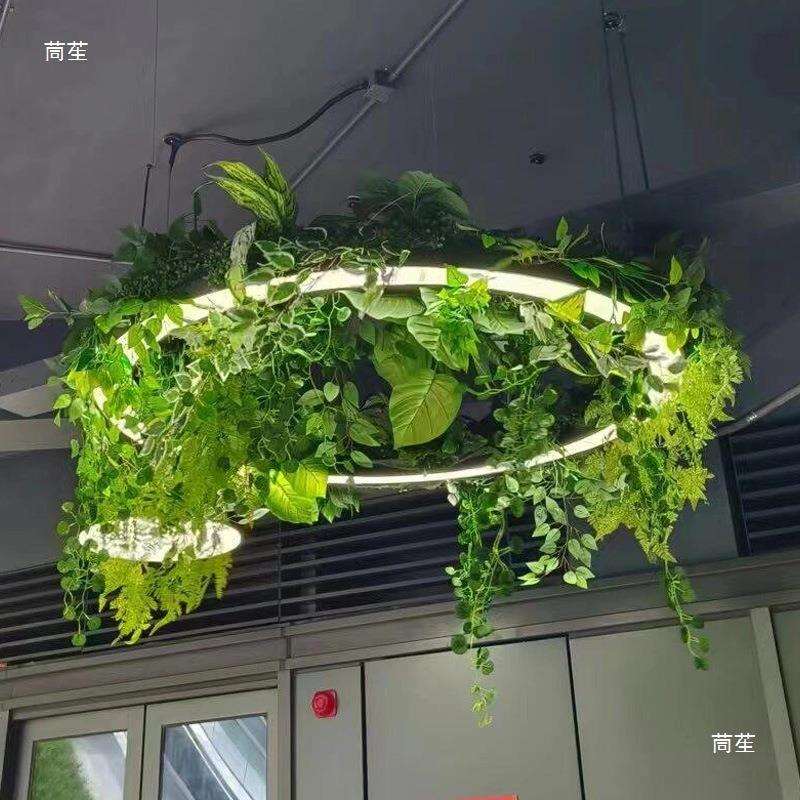 圆形光圈植物灯商铺餐厅咖啡店办公区商场门厅亚非标灯具