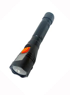 BSX7116 防爆手电筒 3W 黑色
