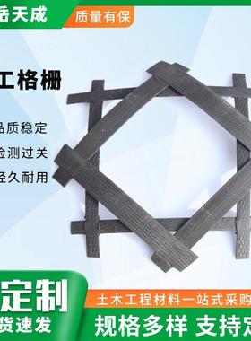 天成厂家钢塑土工格栅 复合塑料颗粒 GSZ钢塑格栅现货