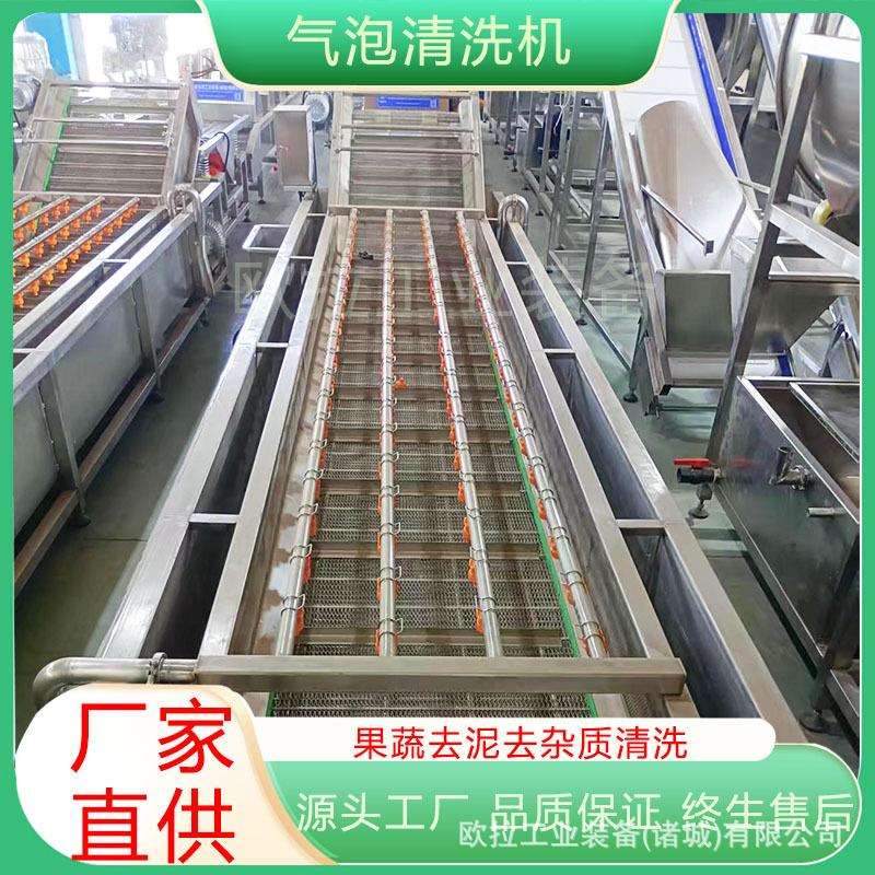 葡萄干清洗流水线 海鲜蔬果加工设备 大姜全自动高压喷淋清洗设备