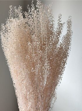 迷你翠扇永生花礼盒玻璃罩浮游保鲜花家居插花装饰白色花束礼品