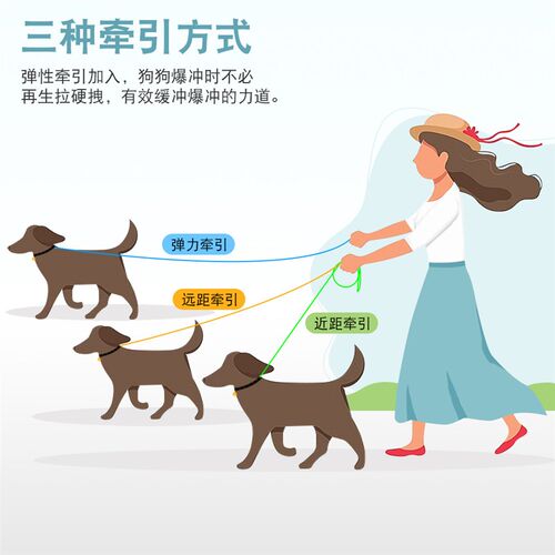 新款尼龙伸缩遛狗绳 防爆冲狗绳狗链子 宠物汽车安全带狗狗牵引绳