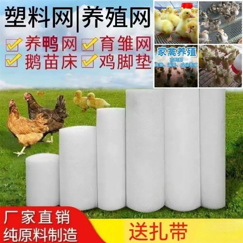 新料整卷家用阳台封窗楼梯栏杆防护网育雏养殖网塑料网格网片垫板