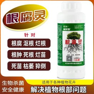 林保姆根腐灵根腐净软腐病茎基腐病抗重茬壮苗改良土壤死苗烂根