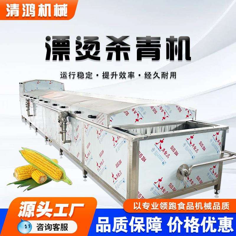 蒸汽式芒果干预煮漂烫机 杨梅果干加工设备 多功能黄桃罐头生产线