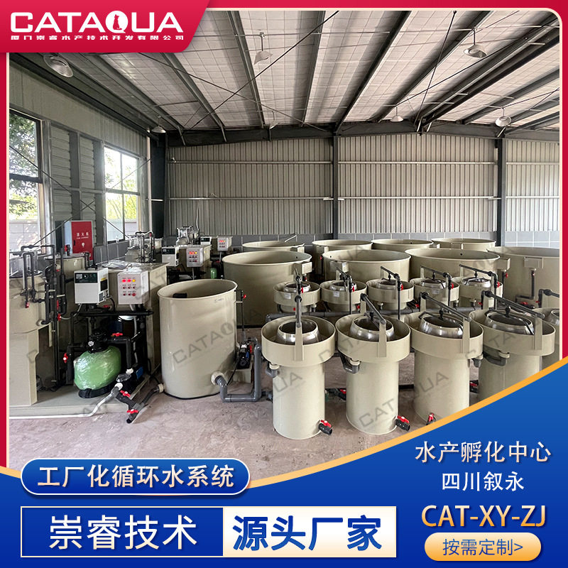 现代农业园区水产孵化中心 鱼类种苗繁育基地 循环水处理养殖设备