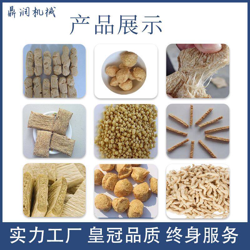 球状柱状拉丝蛋白生产线双螺杆挤压膨化机片状花生蛋白加工设备