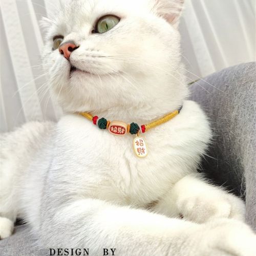 宠物猫咪狗狗手工编织招财平安新年红绳围脖项圈小型犬项链饰品