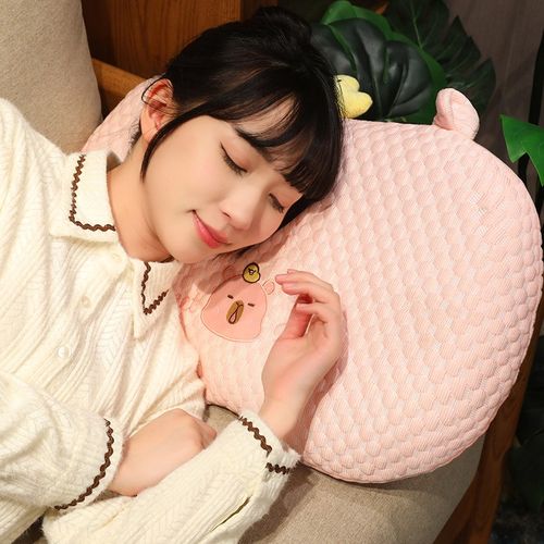 冰豆豆水豚睡觉单人枕头夏季床上抱枕记忆棉可拆洗学生午睡枕女生