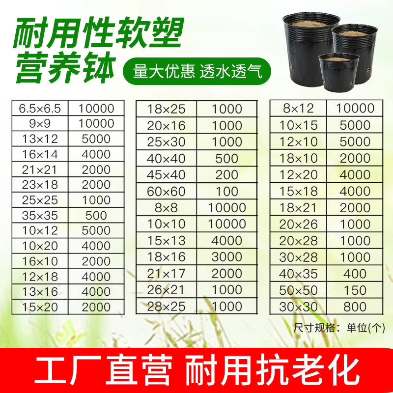 杯养钵加高加厚黑色塑料育苗育种植盆育苗营一次性营养杯袋苗杯