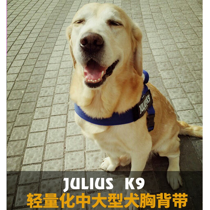 Julius k9轻量化胸背带夏季透气快套金毛中大型犬可调节狗狗牵引