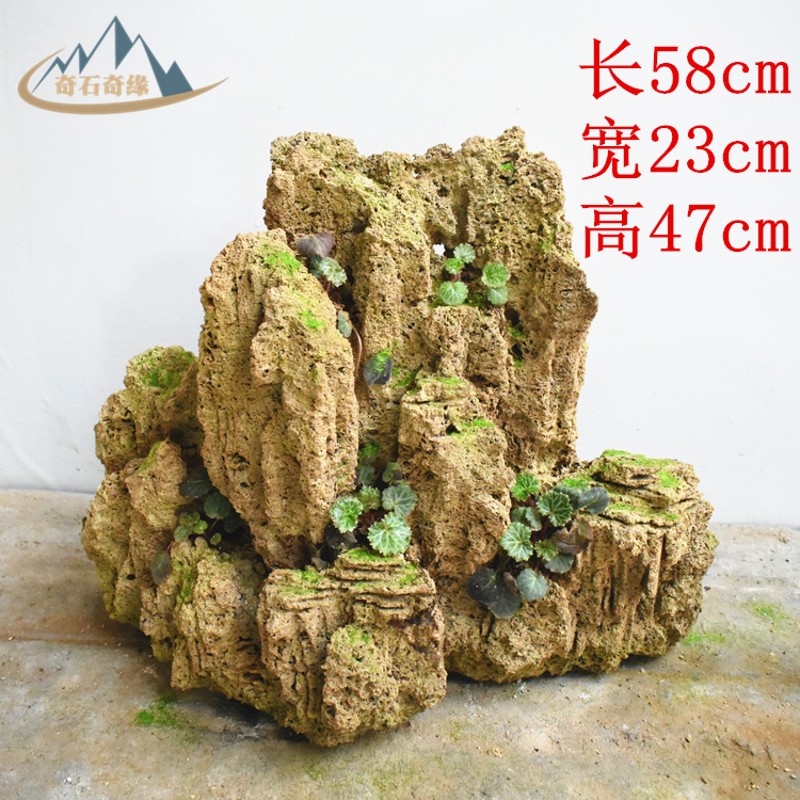 中型吸水石上水石头微观山鱼缸造装景饰庭院水池假山奇秀赏水盆景