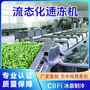 大型流态化速冻机效节能商用冷冻设备快速锁鲜