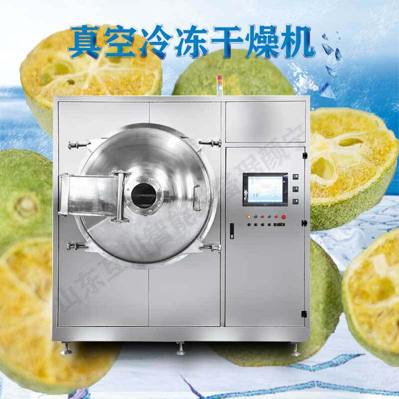 食品羊奶粉真空冷冻干燥机 水果真空芒果桑葚低温冷冻干燥机商用