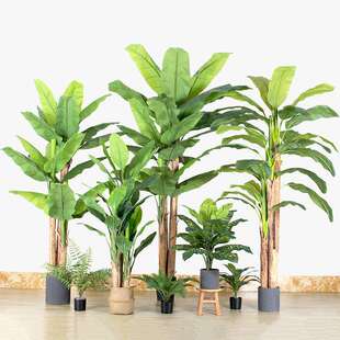手感叶仿真芭蕉树绿植大盆栽大型造景绿植摆件仿真树热带香蕉树