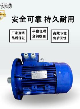 供应意大利SEME电机IE2系列电机