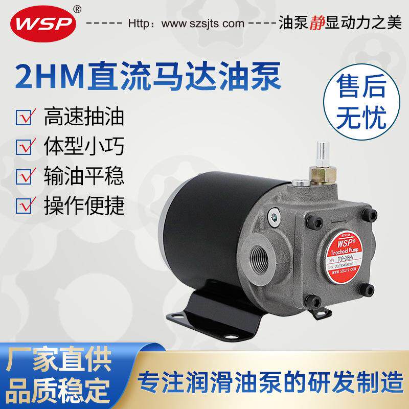 电动抽油泵24V伏直流马达柴油泵小型抽油机自吸泵加油神器输油泵