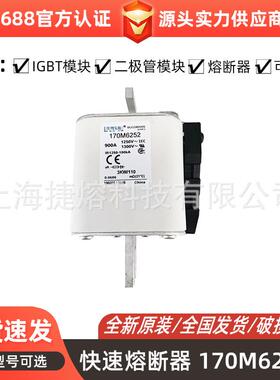 170M6252170M6253快速熔断器保险丝电子元器件量大价优