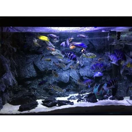鱼缸水族箱PU仿岩石三湖造景立体感强3D背景板青龙石