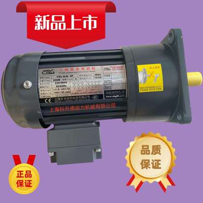YS0.55KW-4PZHIBAOMOTORCO.,LTD电机ZHIBAO马达