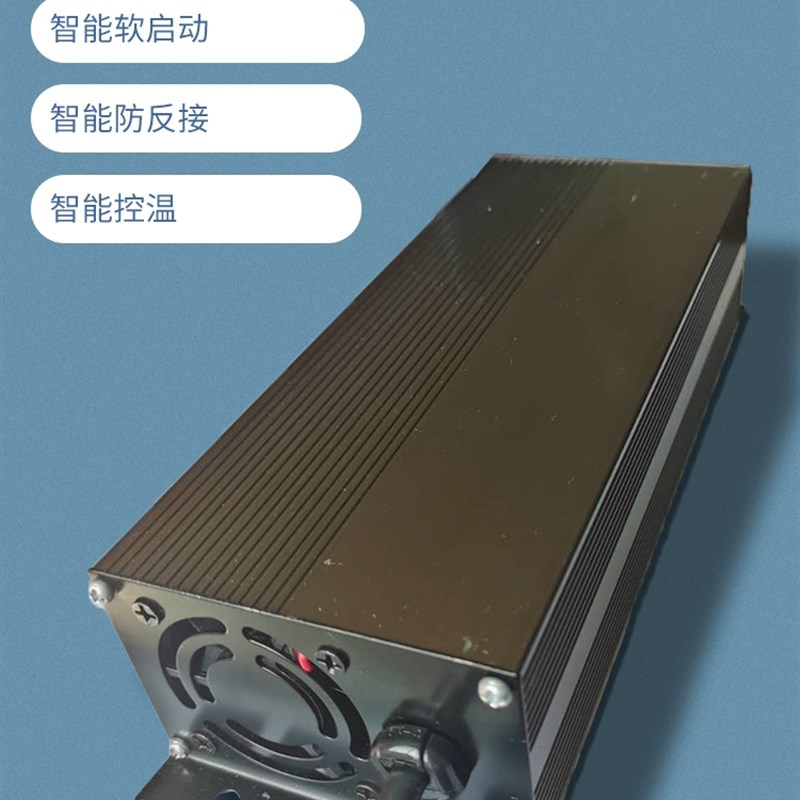 48010安电瓶车充电器6伏v12a72新能源水电干电通用电动三四车