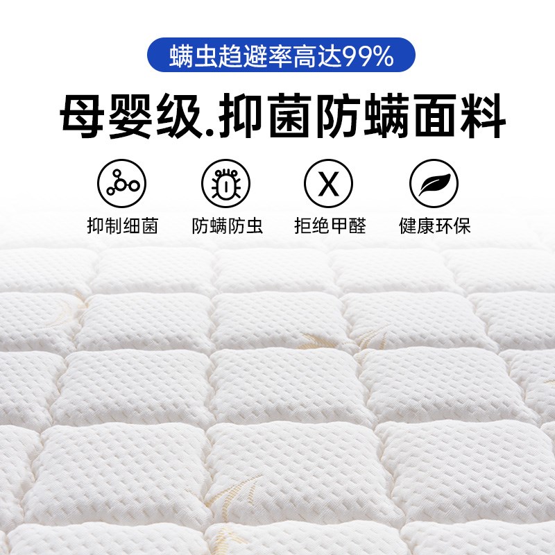榻榻踏床定定做椰棕家用宿舍儿童偏硬踏米米垫子乳胶折叠垫制尺寸