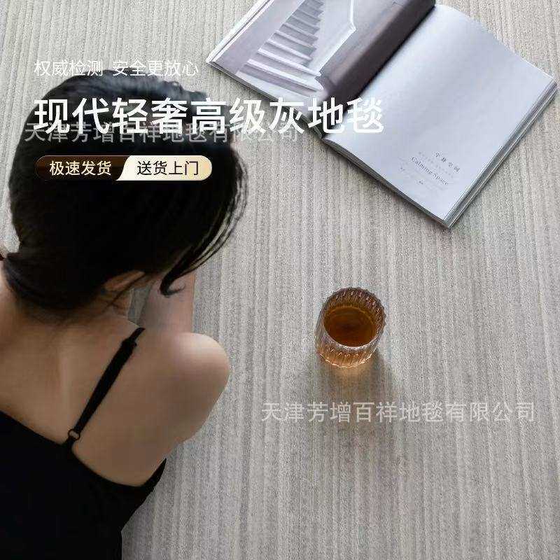 新西兰羊毛高级灰色沙发毯客厅地毯轻奢意式极简现代简约耐脏满铺