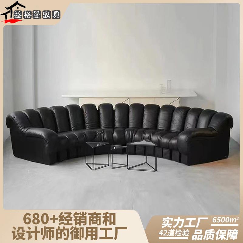 瑞士De Sede蛇形沙发无限延长弧形模块组合沙发创意沙发设计师