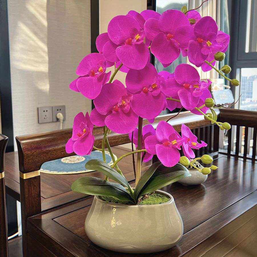 仿真花蝴蝶兰仿真兰花盆栽新款假花套装客厅电视柜中式陶瓷盆摆件