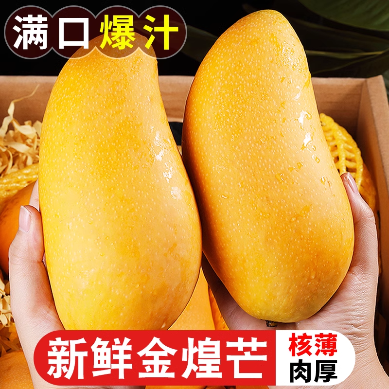 海南金煌芒果9斤装一级甜心芒大果当季新鲜水果甜蜜特产包邮整箱