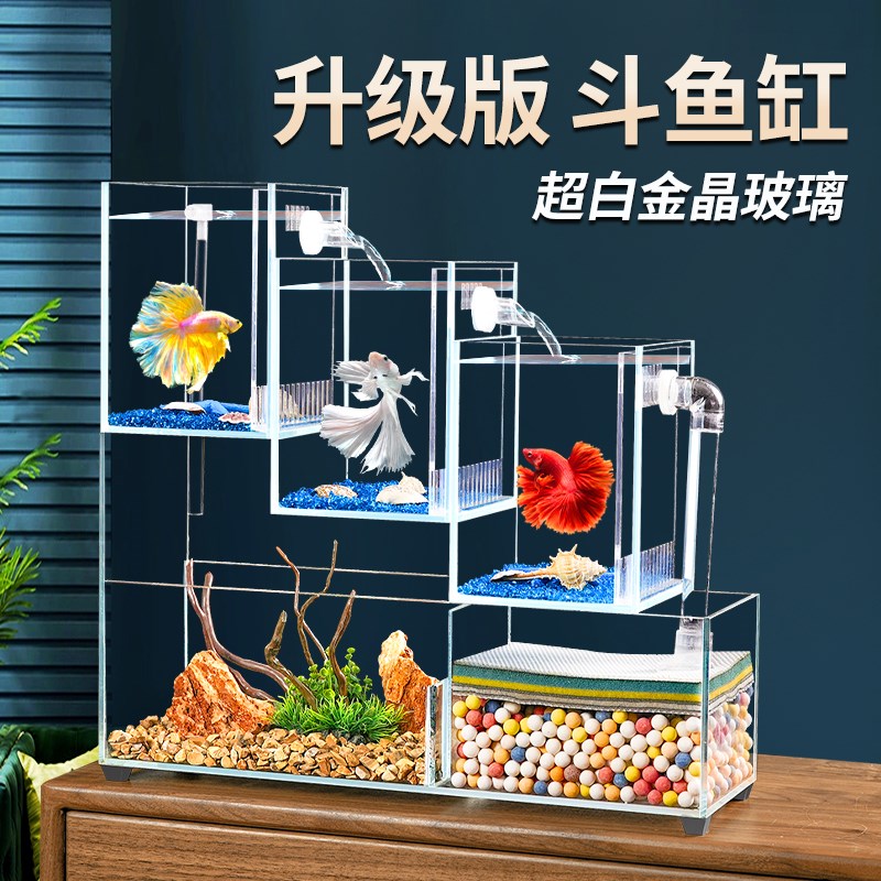 客厅小型鱼部生白玻璃斗鱼缸多格免换水超态底缸过滤金鱼缸水族箱