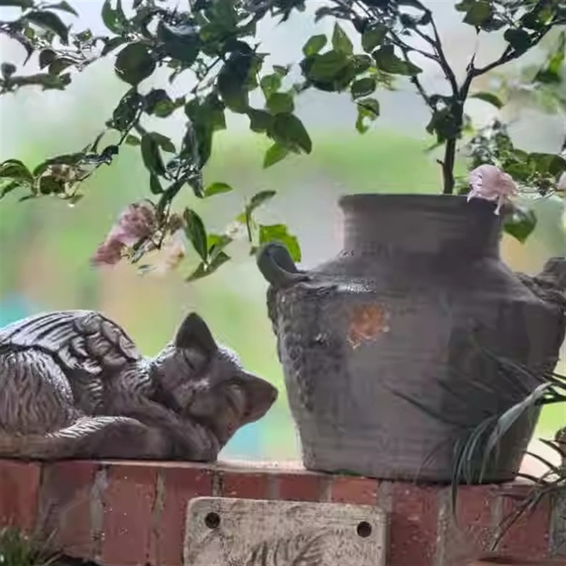 手工红陶花园摆院翅膀猫咪庭件花园露台落地摆件桌面窗摆台件