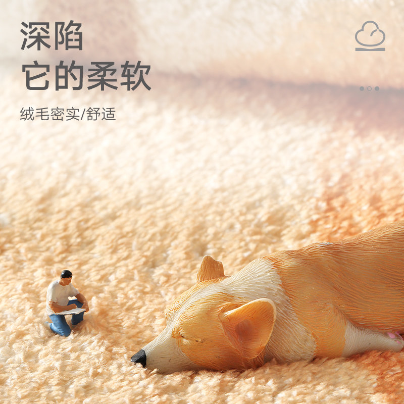 地垫客厅全铺茶床卡卧室几边厚地毯白色儿童房间云朵毯通毛毯