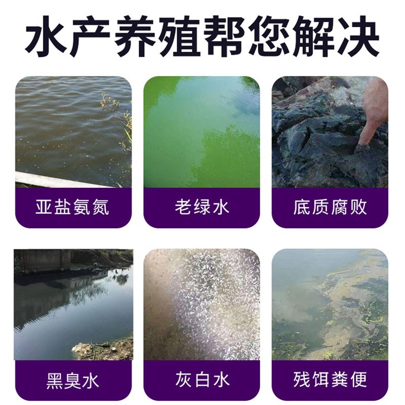过硫臭氢除水产养殖鱼塘消毒杀菌药改底王钾酸增氧鱼池水质净化剂