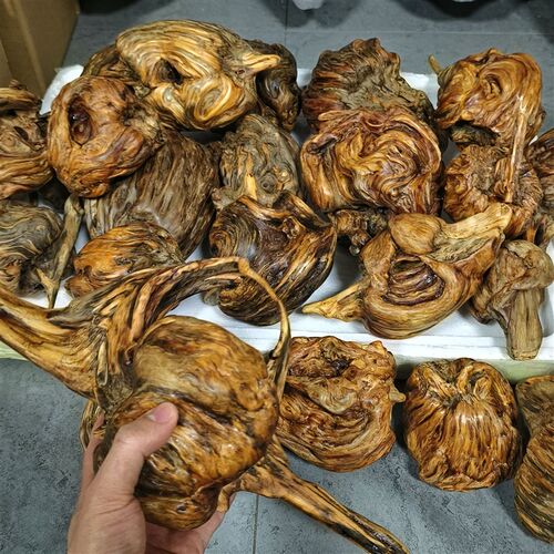 松明子陈化料自带香味土沉香琥珀木客厅茶桌摆件手把件高油性